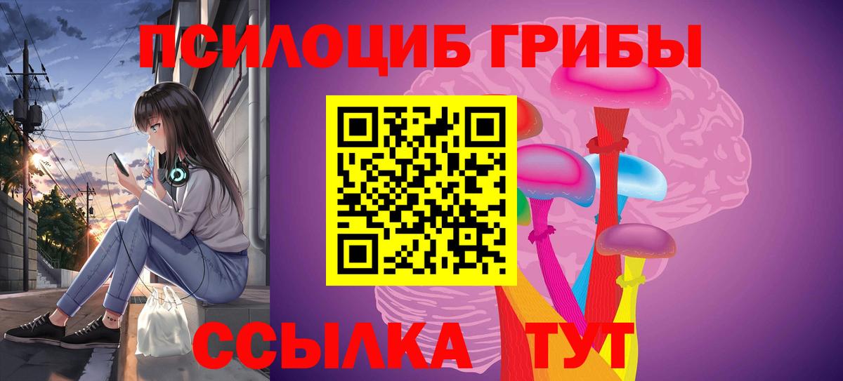 Тула  Галлюциногенные грибы Psilocybe  Вход с VPN 